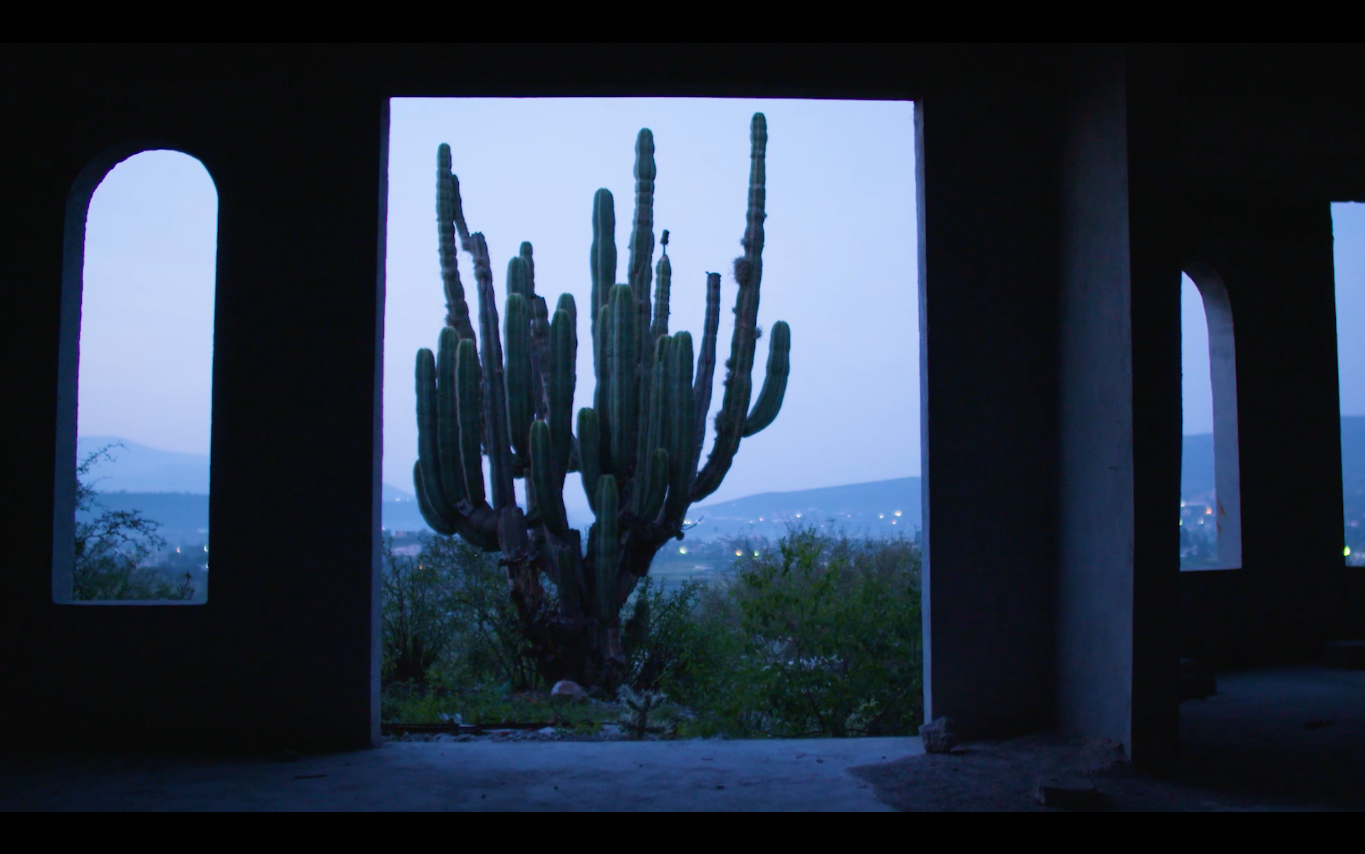 © Night_of_the_Coyotes | Horse & Fruits