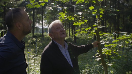 © Herr Spielmann und der Wald | Hans Seebacher Filmproduktion 