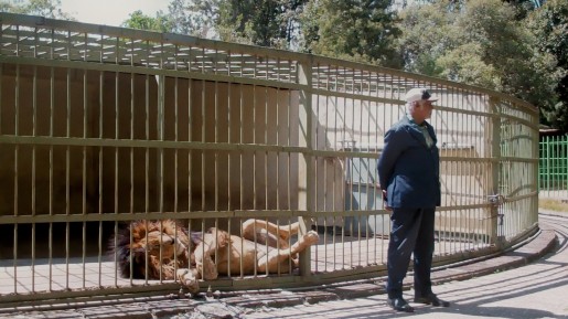 © Ruth Beckermann Filmproduktion